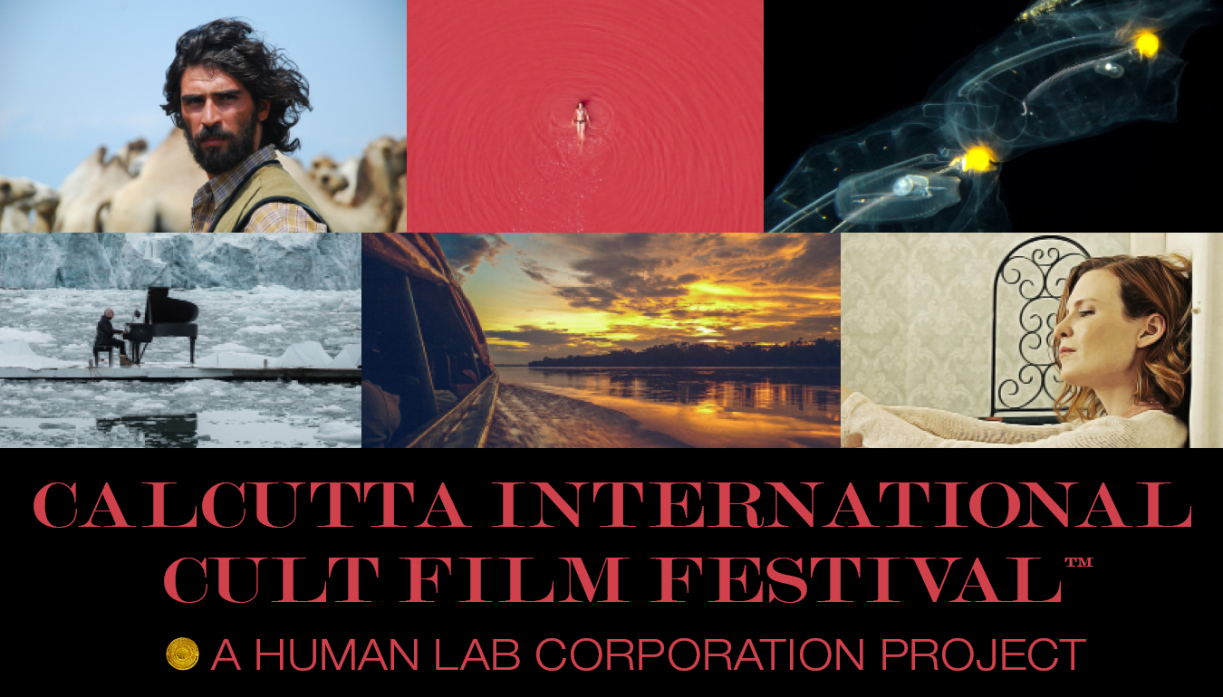 Who and Why is the Calcutta International Film Festival?