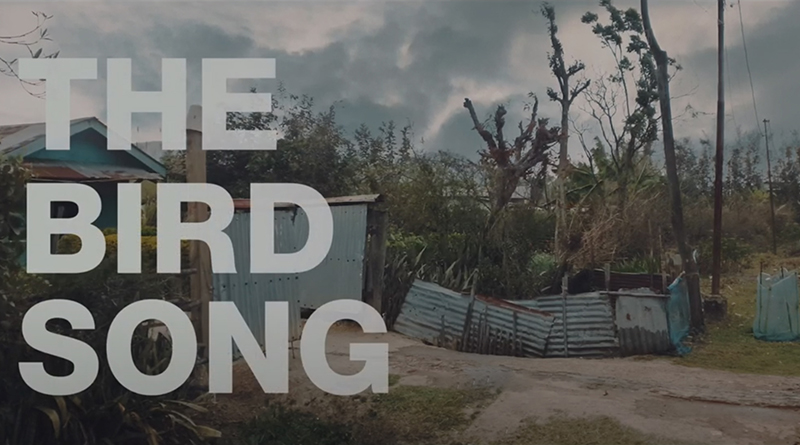 THE BIRD SONG DIRECTED by LAWRENCE CHANDAM