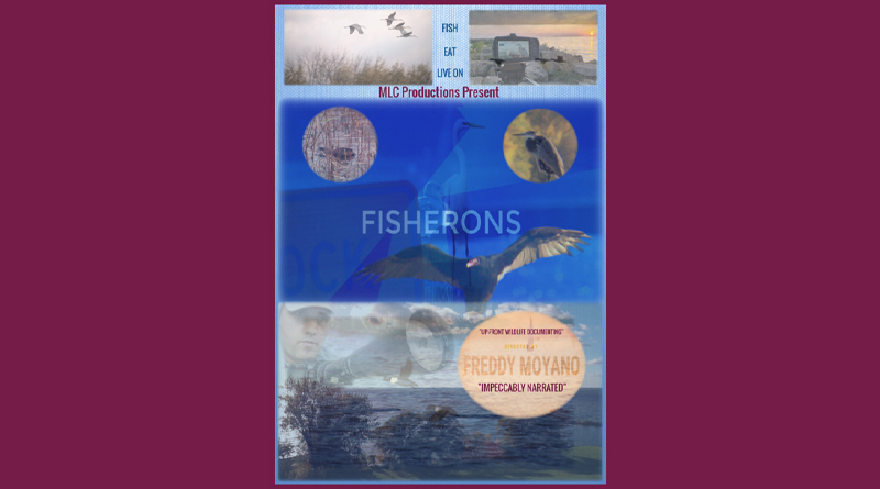 FISHERONS BY FREDDY MOYANO / REVIEWED BY ADVA REICHMAN