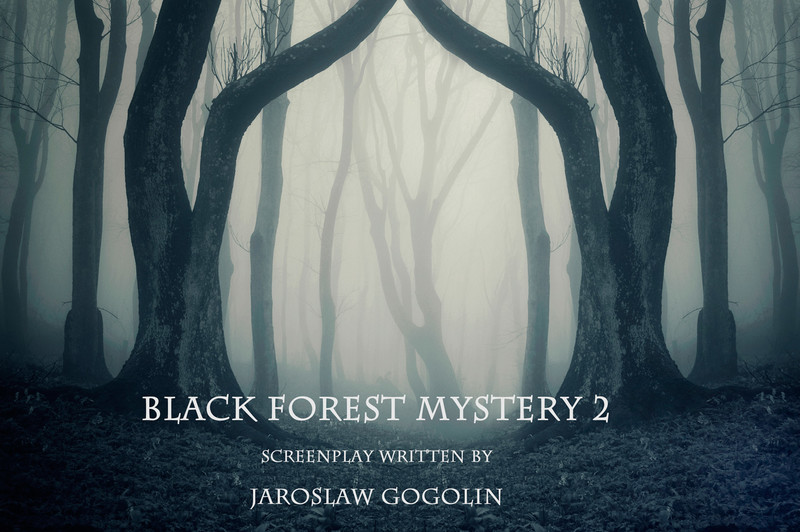 Black Forest Mystery 2