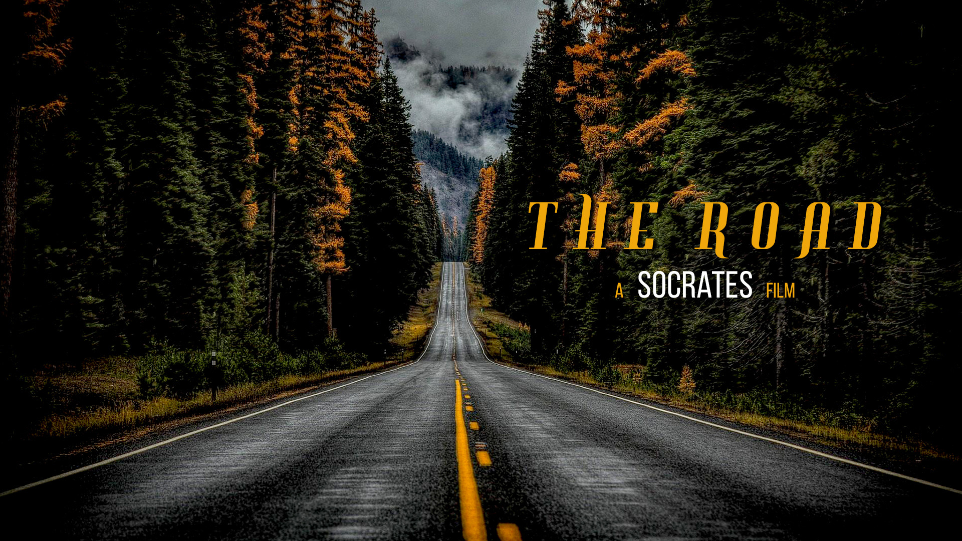 The Road | Interview by Rupanjali Pramanik